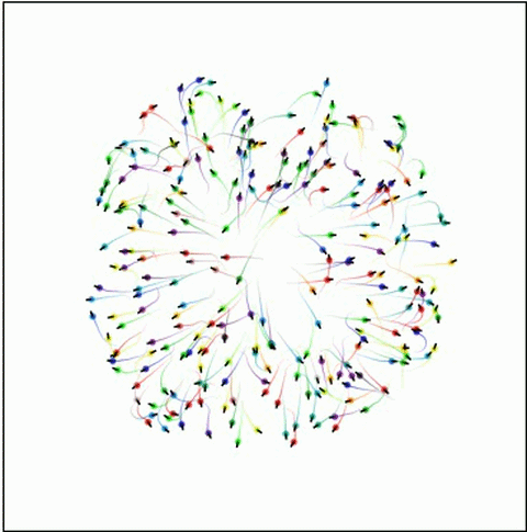 collective_motion.gif